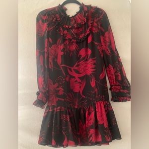Zara long sleeve smocked ruffles dress